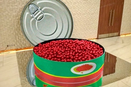 Фотозона сухой бассейн Икра