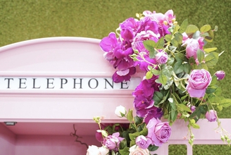 Фотозона Розовая телефонная будка