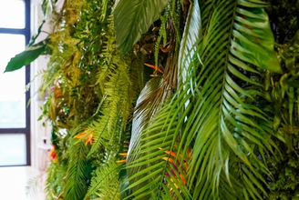 Тропическая фотозона