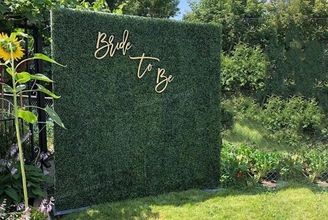 Зеленая фотозона