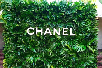 Зеленая фотозона